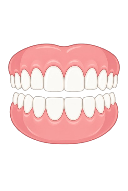 Saúde Gengival e Dentária